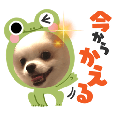 yuka_20230918202635