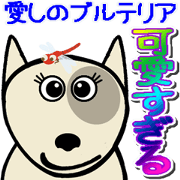 Beloved bull terrier