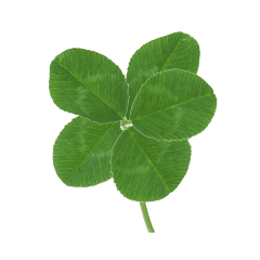 five-leaf clover