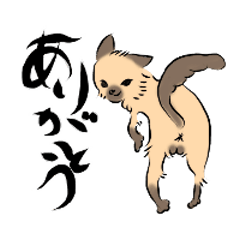 You can be used every day Japanese cat