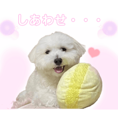 マルックス❤︎