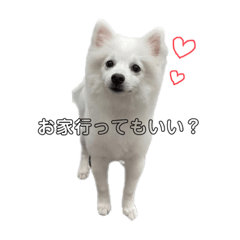 SHIOCHOCO_20230919003044