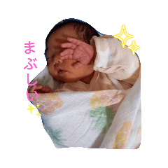 sakura_20230919130954