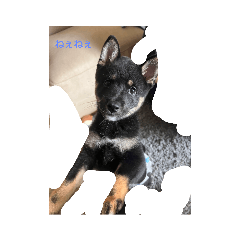 NATSUMI_20230918190208