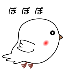 nobobi white pigeon with few words