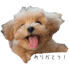 hana_20230919133325