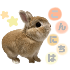 yuka_20230918231222