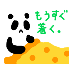 Panda Zhang_20230918223629