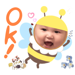 Q.Ray.