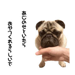 sakura_20230919160819