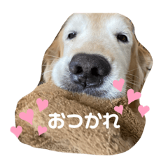 sakura_20230919150839