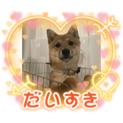 hana_20230919163010