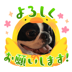 suzu_20230919145250