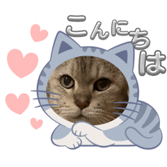 hana_20230919164453