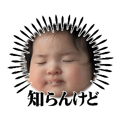 shizuku_stump2
