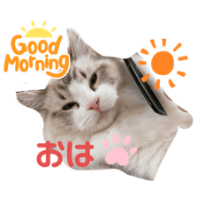 yayoi_20230919230142