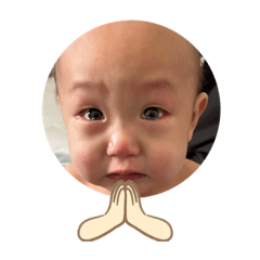 Sakura_20230920014839