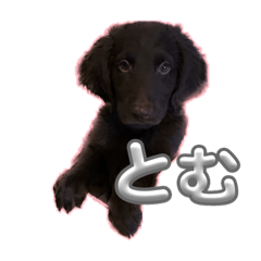 moo_20230919224347