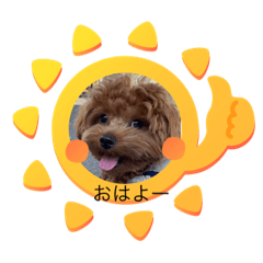 tomomi_20230919212512