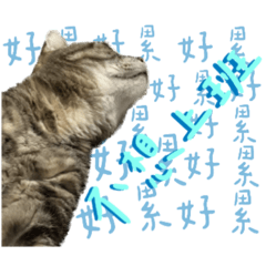 Wanling_20230920111920