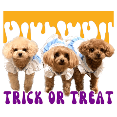 three poodles halloween party