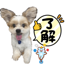 pechako_20230919212832