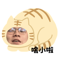 手機配件
