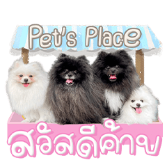 Pet's Place