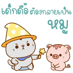 คอตต้อน เป็นแมวน่ารัก