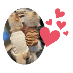 YUKARI_20230920182740