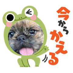 kankuro_20230921000259