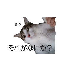 monaka_20230921005949
