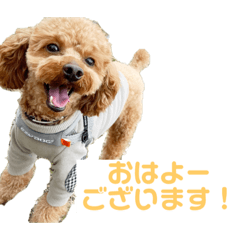 Sakura_20230920202558