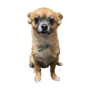 ReoPipi_20230921074234