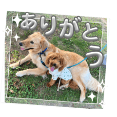 マルプーのモブ3