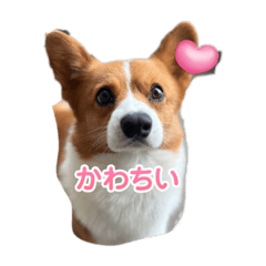 Michiko_20230921093846