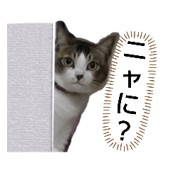 mocapapa_20230921124529