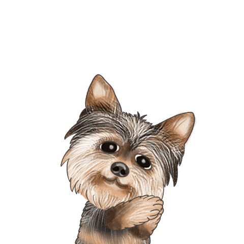 Yorkie's big character dog (revised)