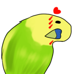 Chirping parrot daily life