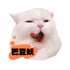 喃喃&捲捲no.3
