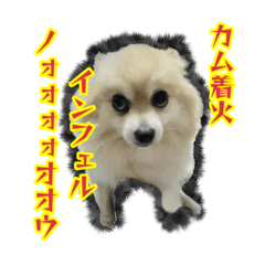 namimaru_20230921154920