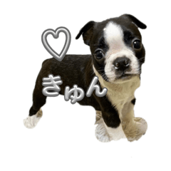OMOCHI_20230921200044