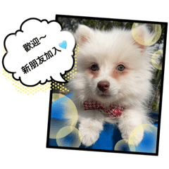 Si store賣家