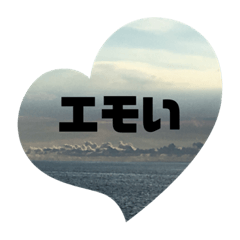 poepoe_20230921153425