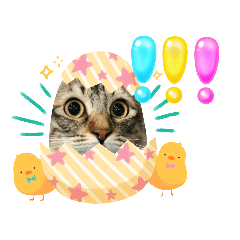 SAKURA_20230921172537