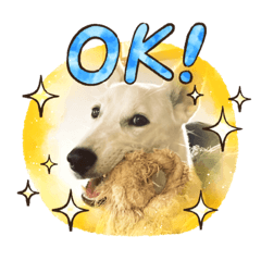 norifuku_20230921215648