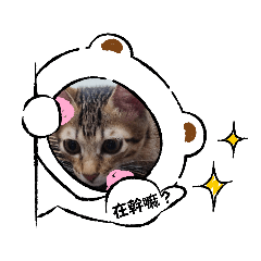 萌萌喵公主