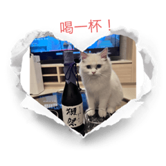 摩卡專屬