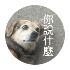 開心小勾