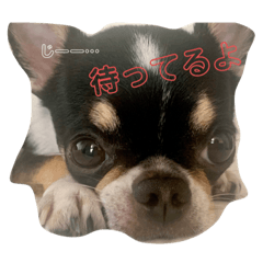 KANA_20230921190417